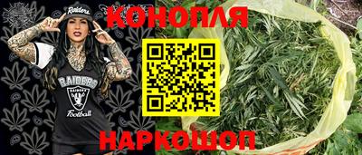 гашик Туймазы