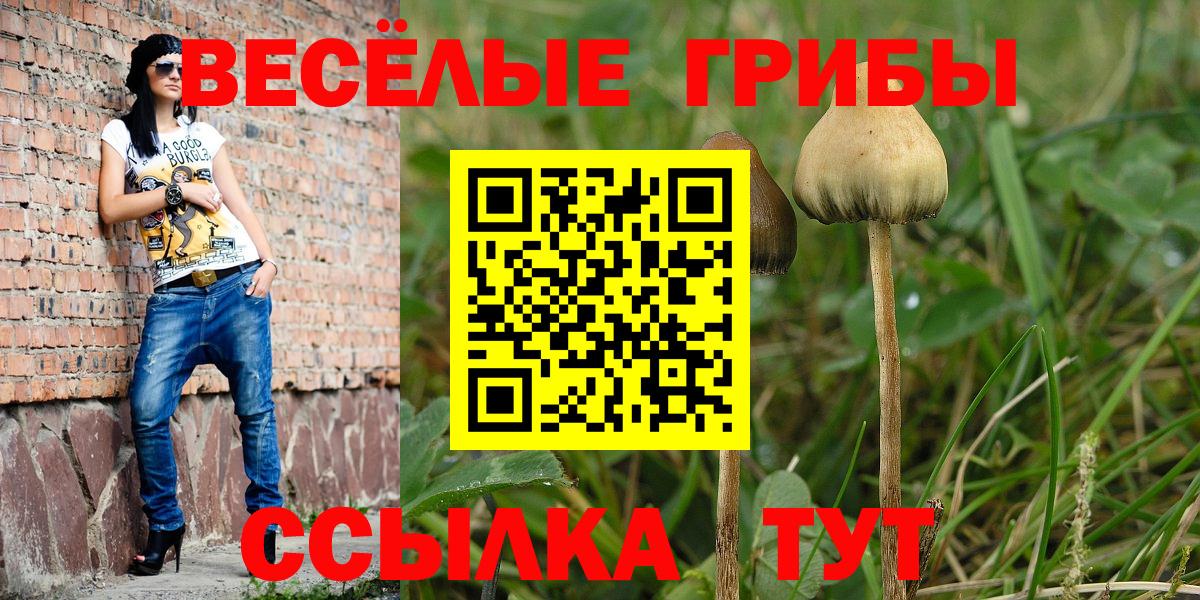 Нурлат  Псилоцибиновые грибы Psilocybine cubensis  Вход с VPN 